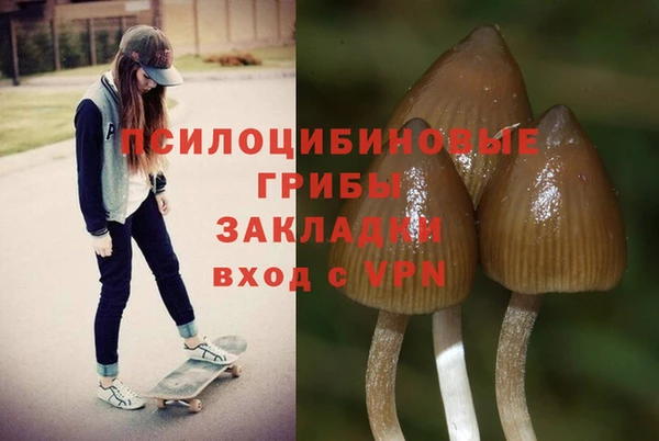 тгк Беломорск